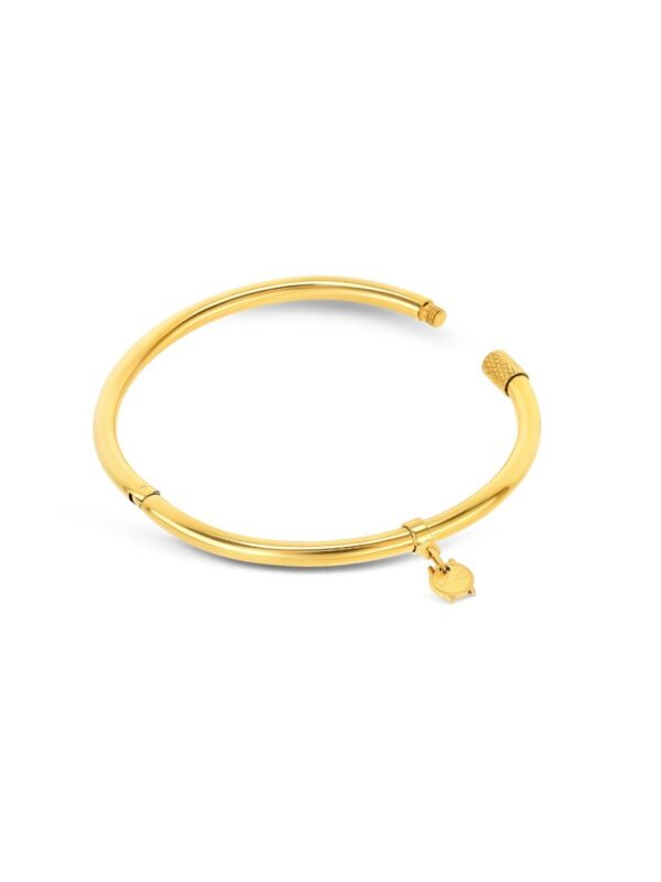 1736864417_d7d5bec7a9011c5b4e0975658ce2891d Escrava One Energy Master Oval Gold