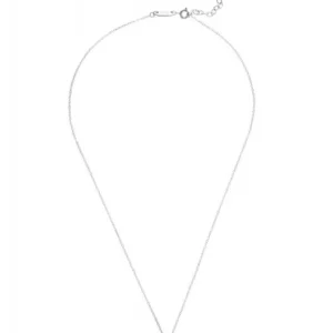 Colar Neckmess Heart Big Silver