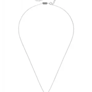 1705428415_384e5c1086c7e531c24fc7bf15b16cc5 Colar Neckmess Heart Silver