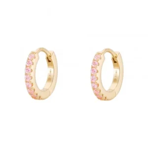 1709822373_dd2098780e53b259457a95e014bd14c8 Argolas Unike Shinny Pink Golden