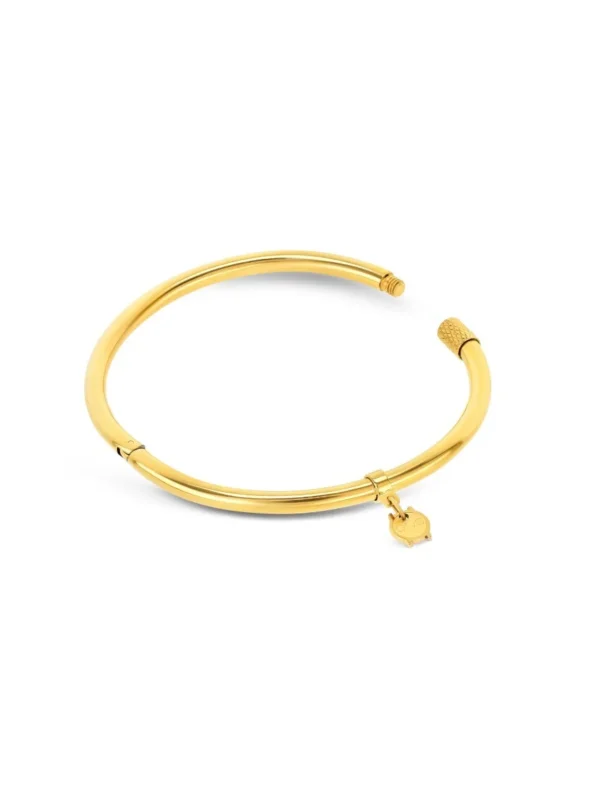 1736864417_d7d5bec7a9011c5b4e0975658ce2891d Escrava One Energy Master Oval Gold